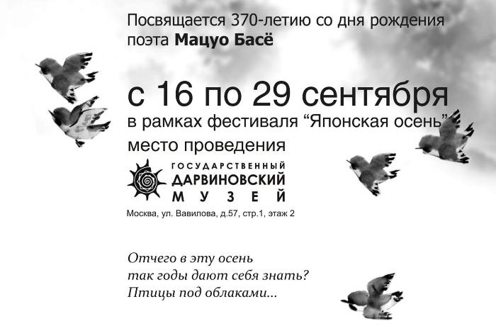 Птицы под облаками