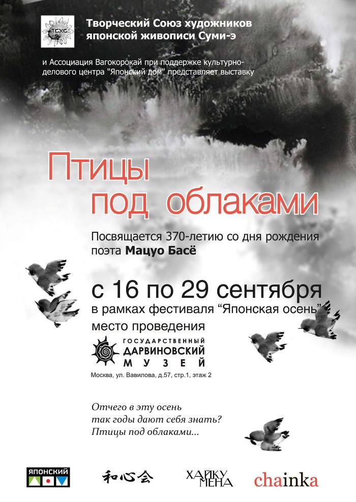 Птицы под облаками