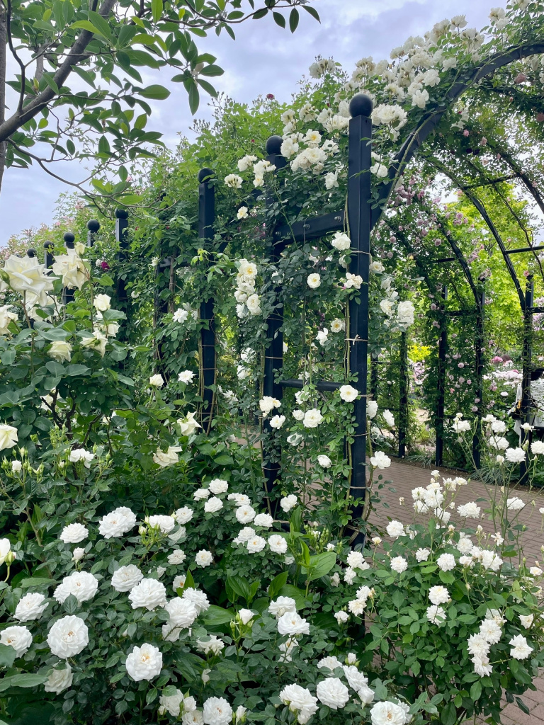 Английский сад Йокогамы